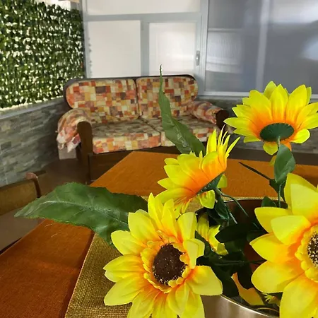 Casa Patry-3